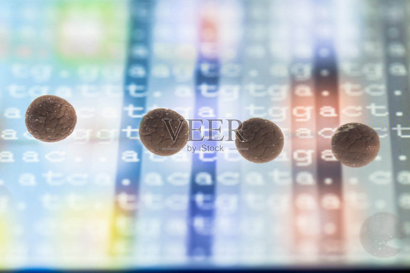 一个分裂的卵细胞，背后有DNA密码照片摄影图片