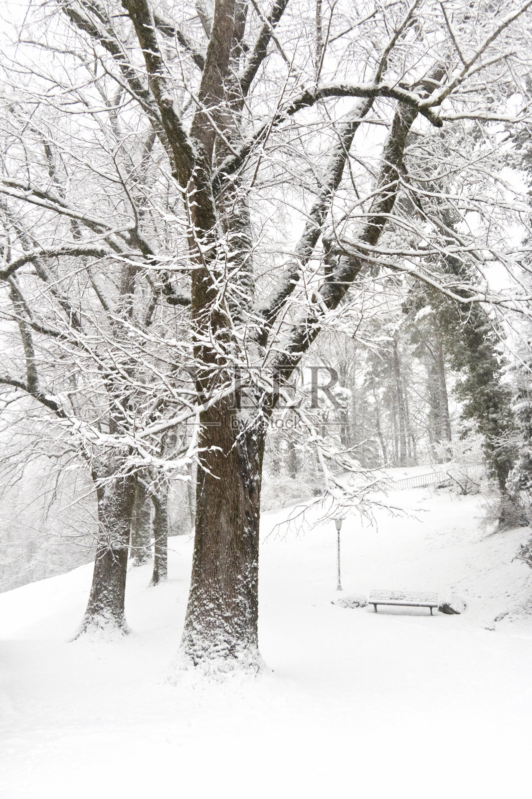 冬天来到了城市公园照片摄影图片