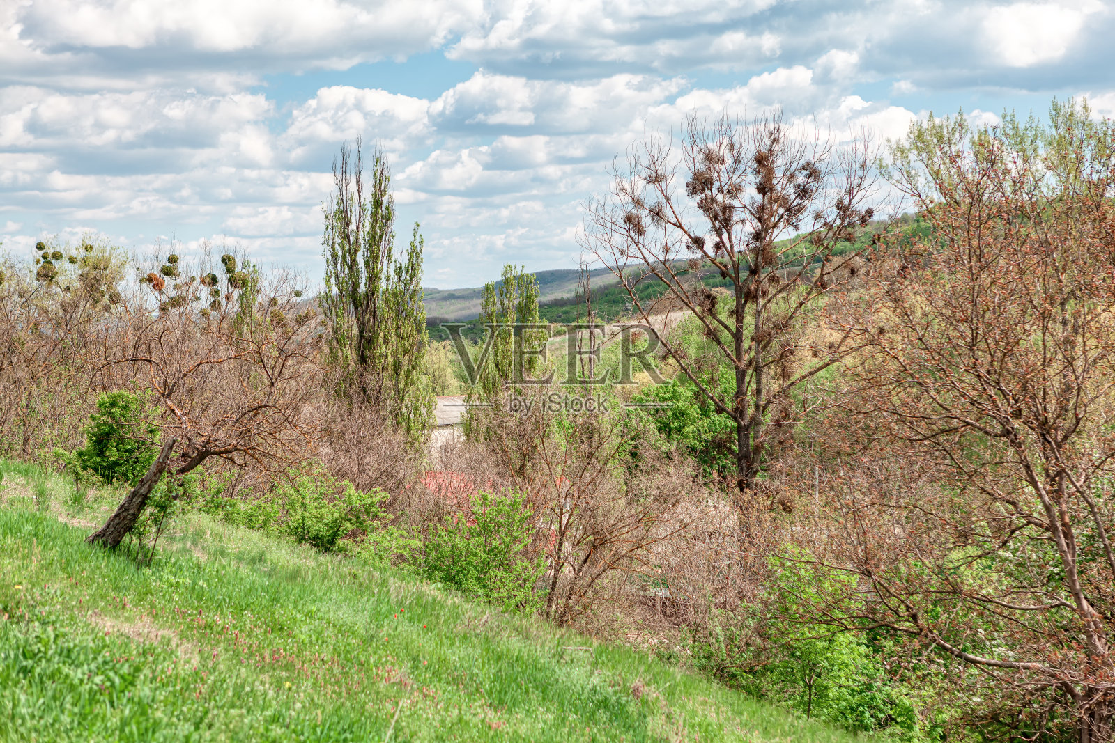 山上未开垦的自然照片摄影图片