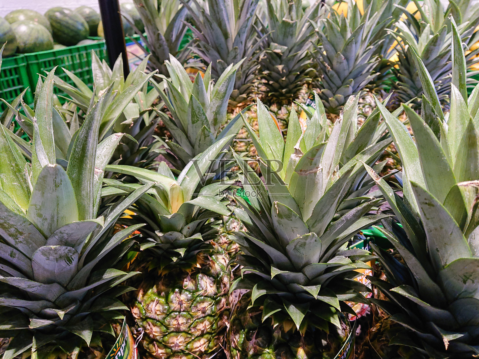 菠萝照片摄影图片