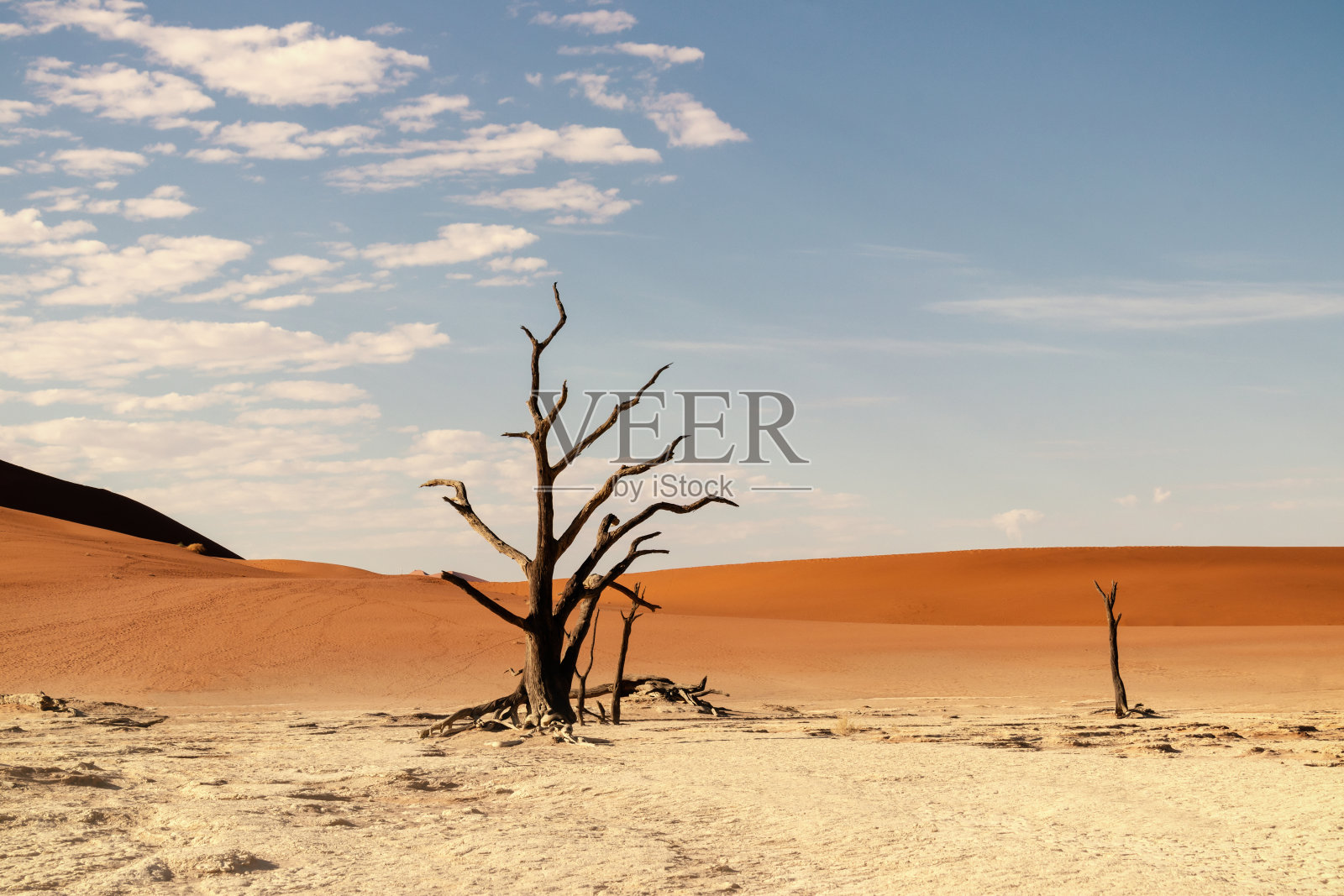 著名的Deadvlei。纳米布沙漠的美丽风景照片摄影图片