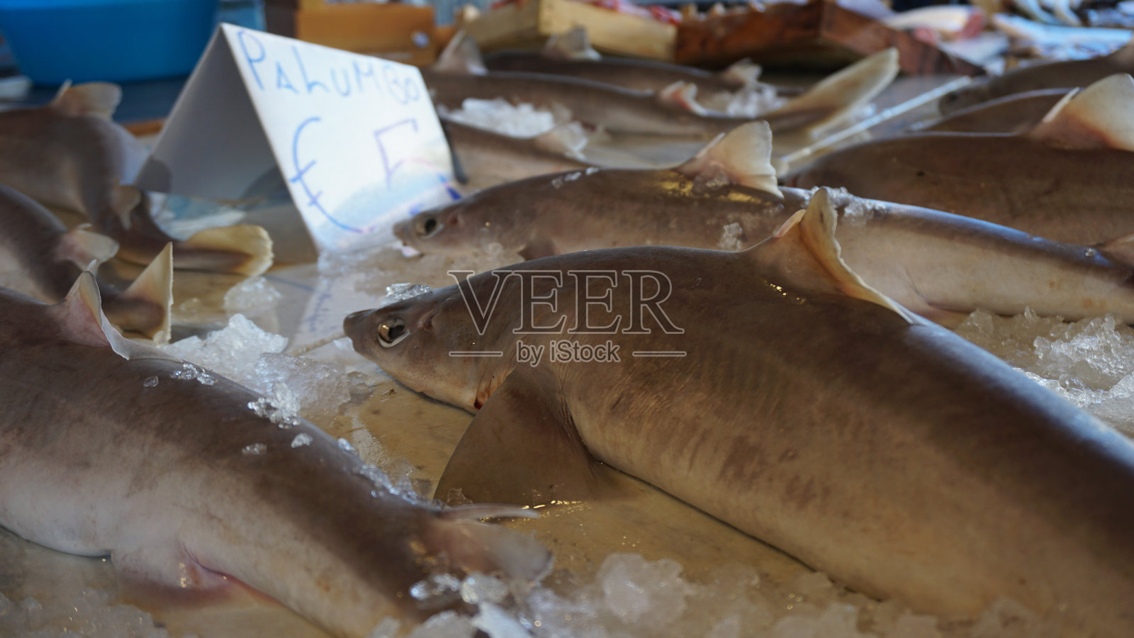 意大利西西里的巴勒莫鱼市上午照片摄影图片