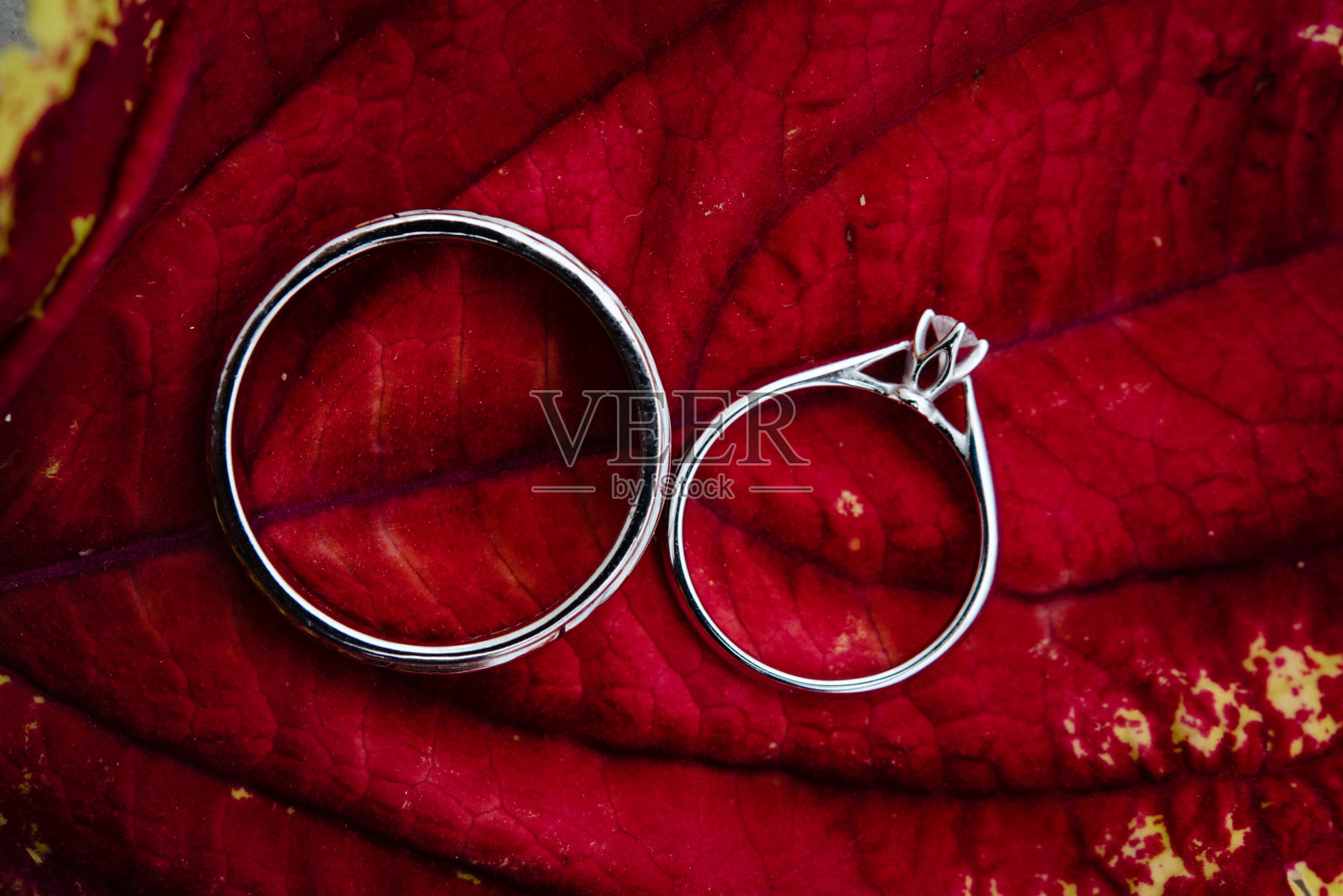 结婚戒指照片摄影图片