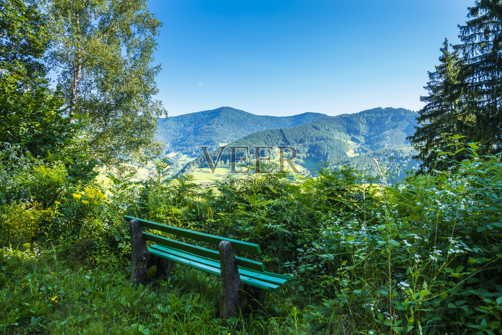 德国黑森林自然景观旅游徒步区全景，森林边缘的长椅供人休息照片摄影图片