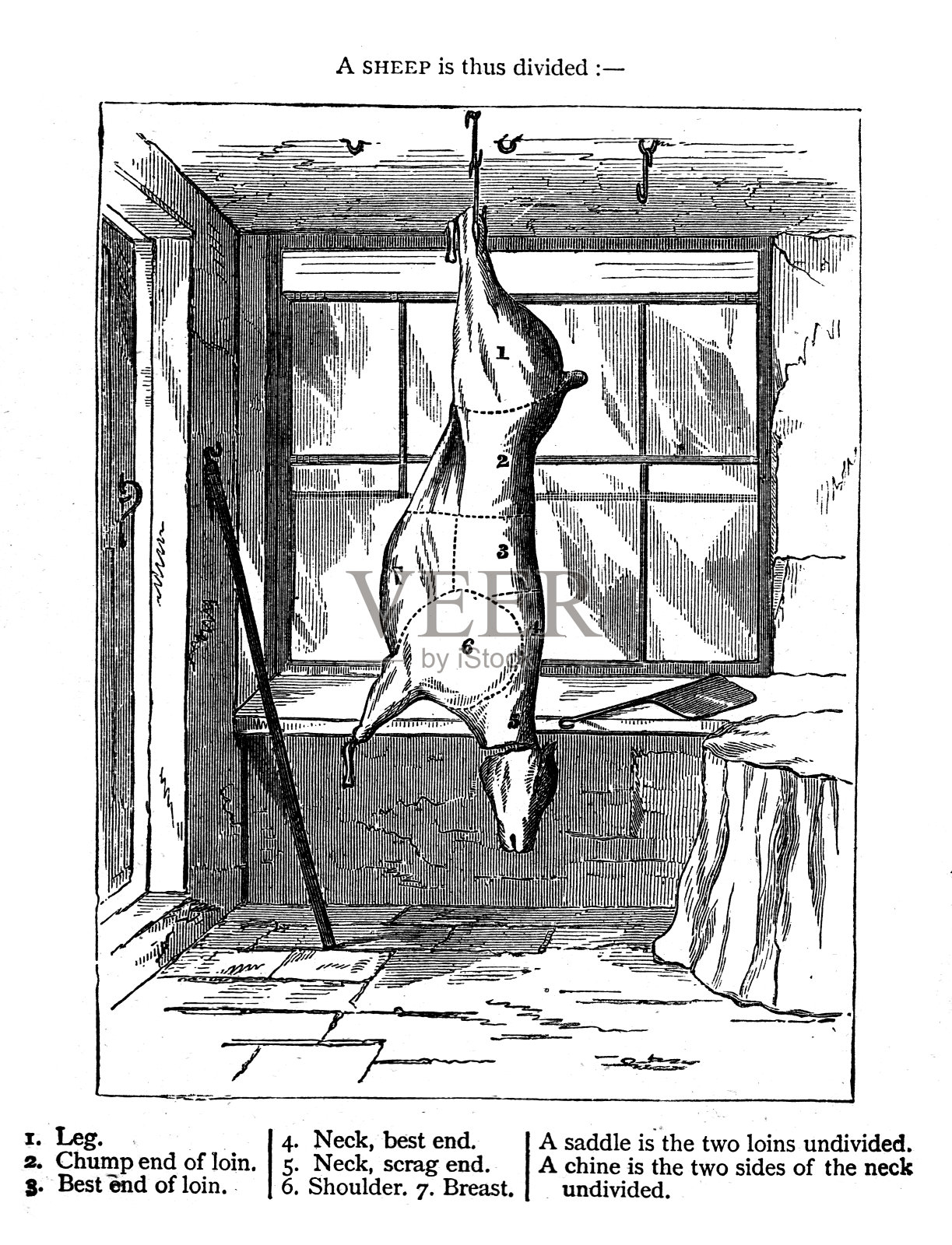 19世纪的版画——宰羊的尸体;沃恩的烹饪和家务管理1860年插画图片素材