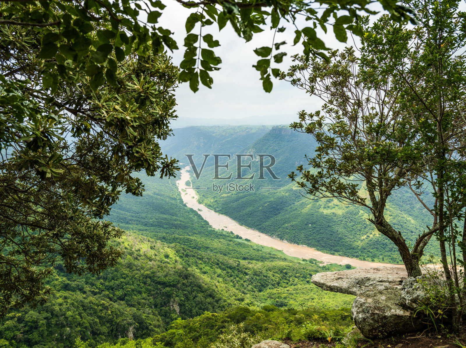 雄伟的乌姆津库鲁河峡谷穿过树林照片摄影图片