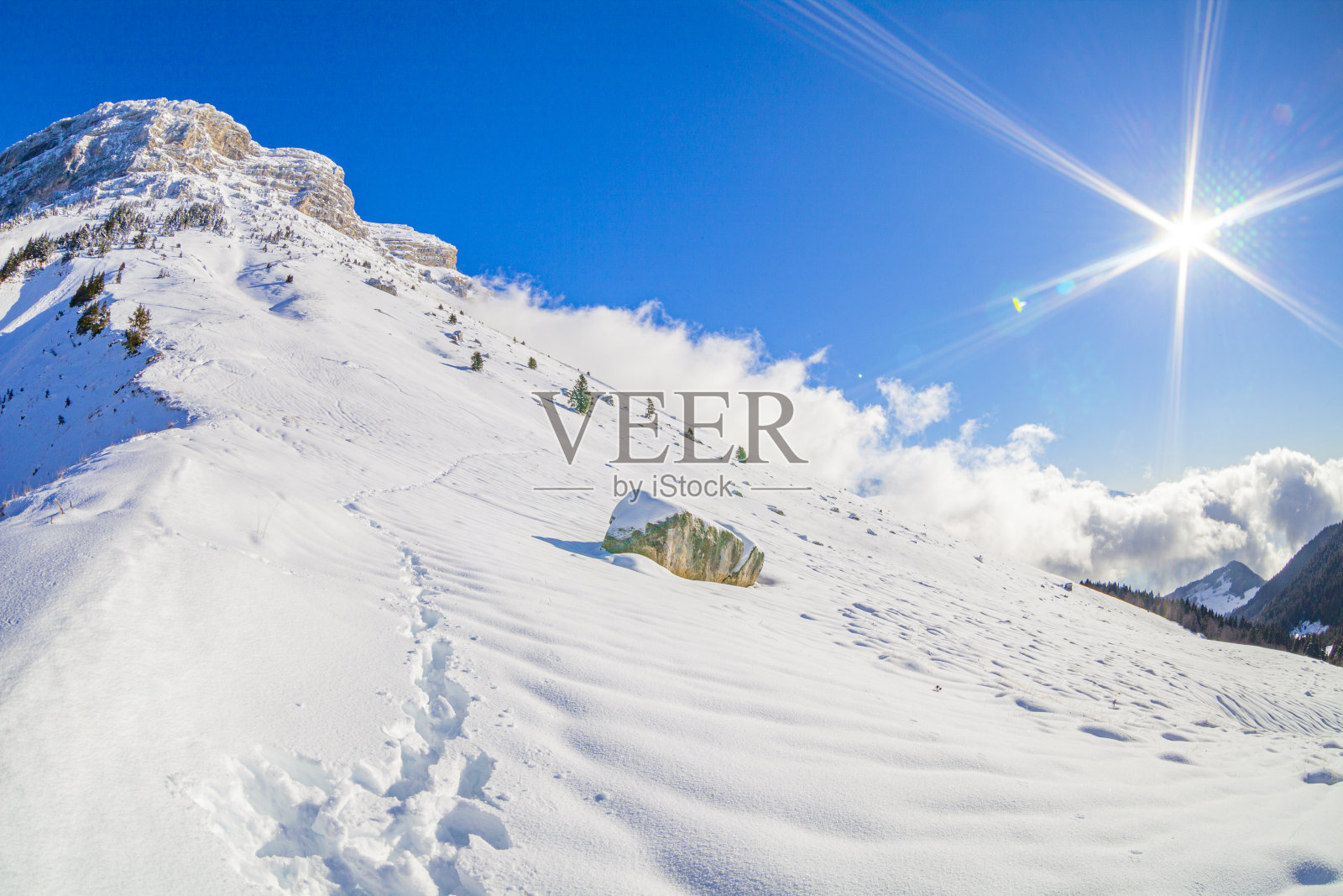 寒冷的海耶斯在冬天，法国阿尔卑斯山附近的Col du Coq照片摄影图片