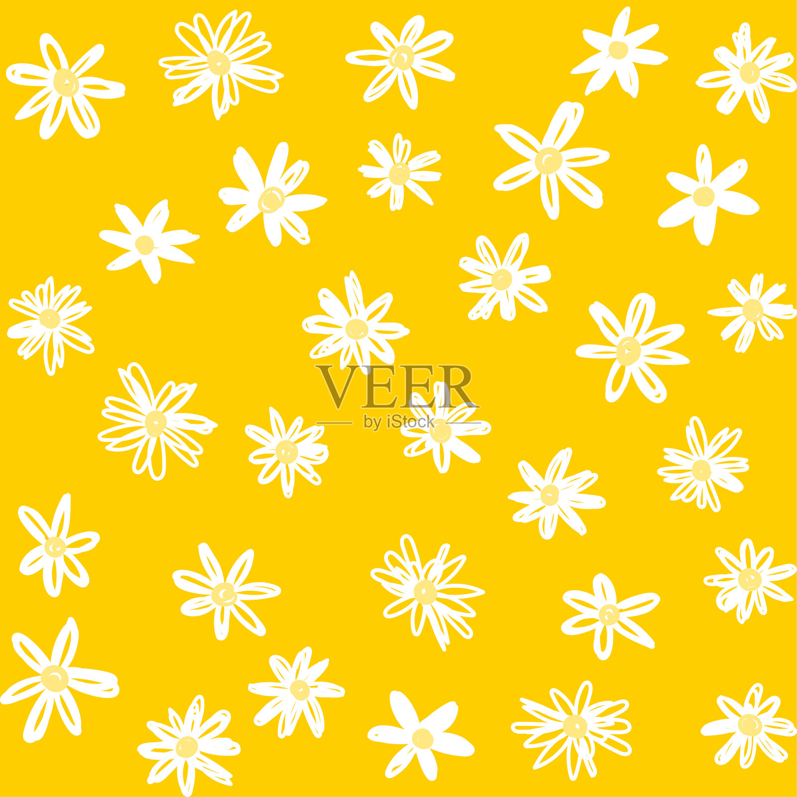 花雏菊图案洋甘菊花黄色插画图片素材