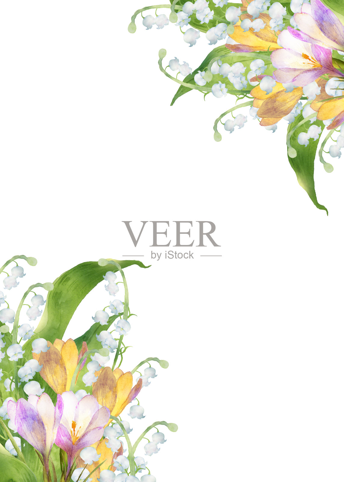 水彩番红花配铃兰插画图片素材