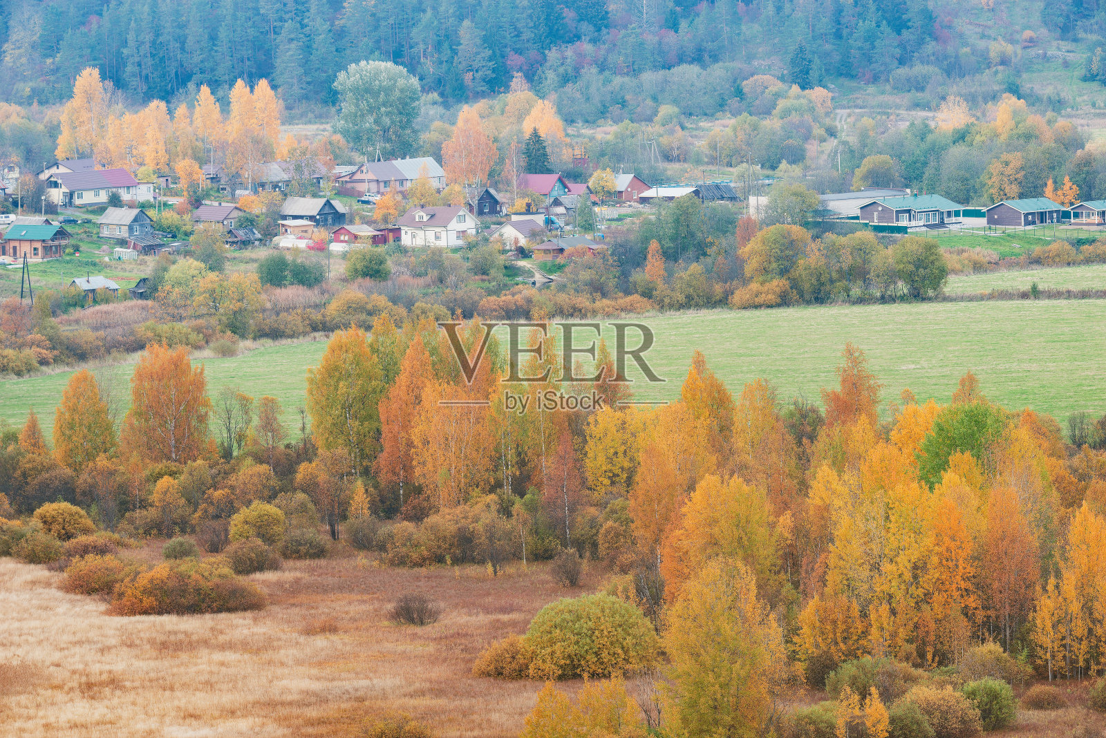 秋天农村视图。卡累利阿共和国。照片摄影图片