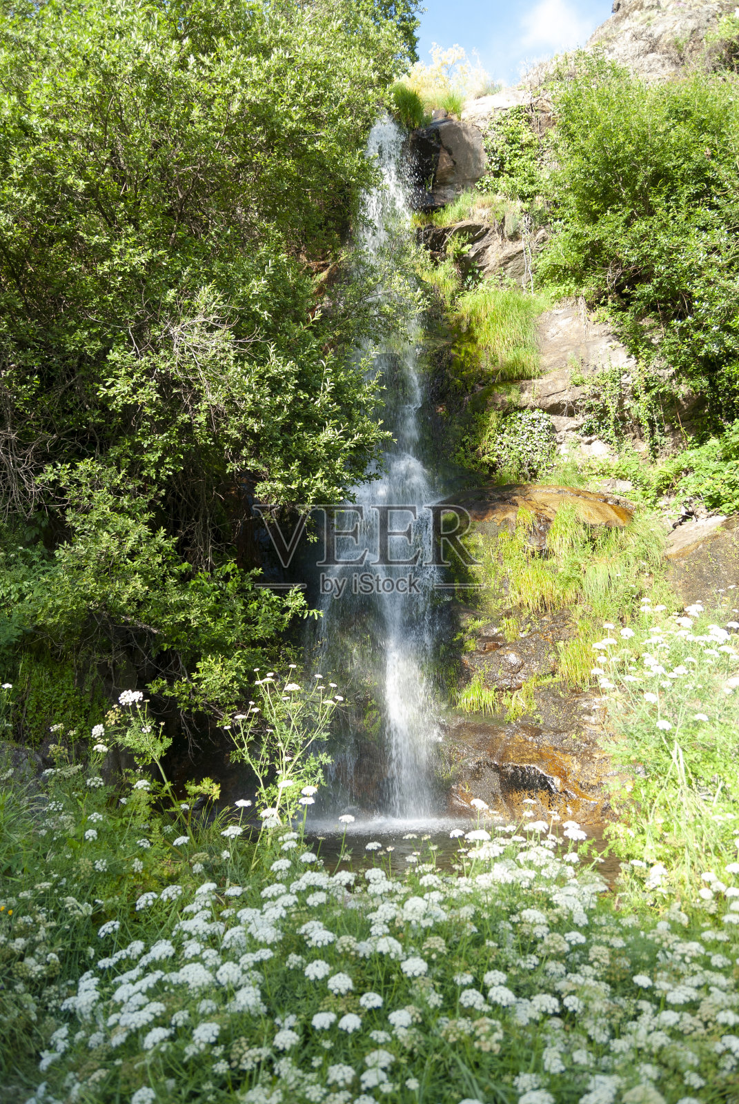 La Chorrera瀑布与花在前景在日落在夏天照片摄影图片