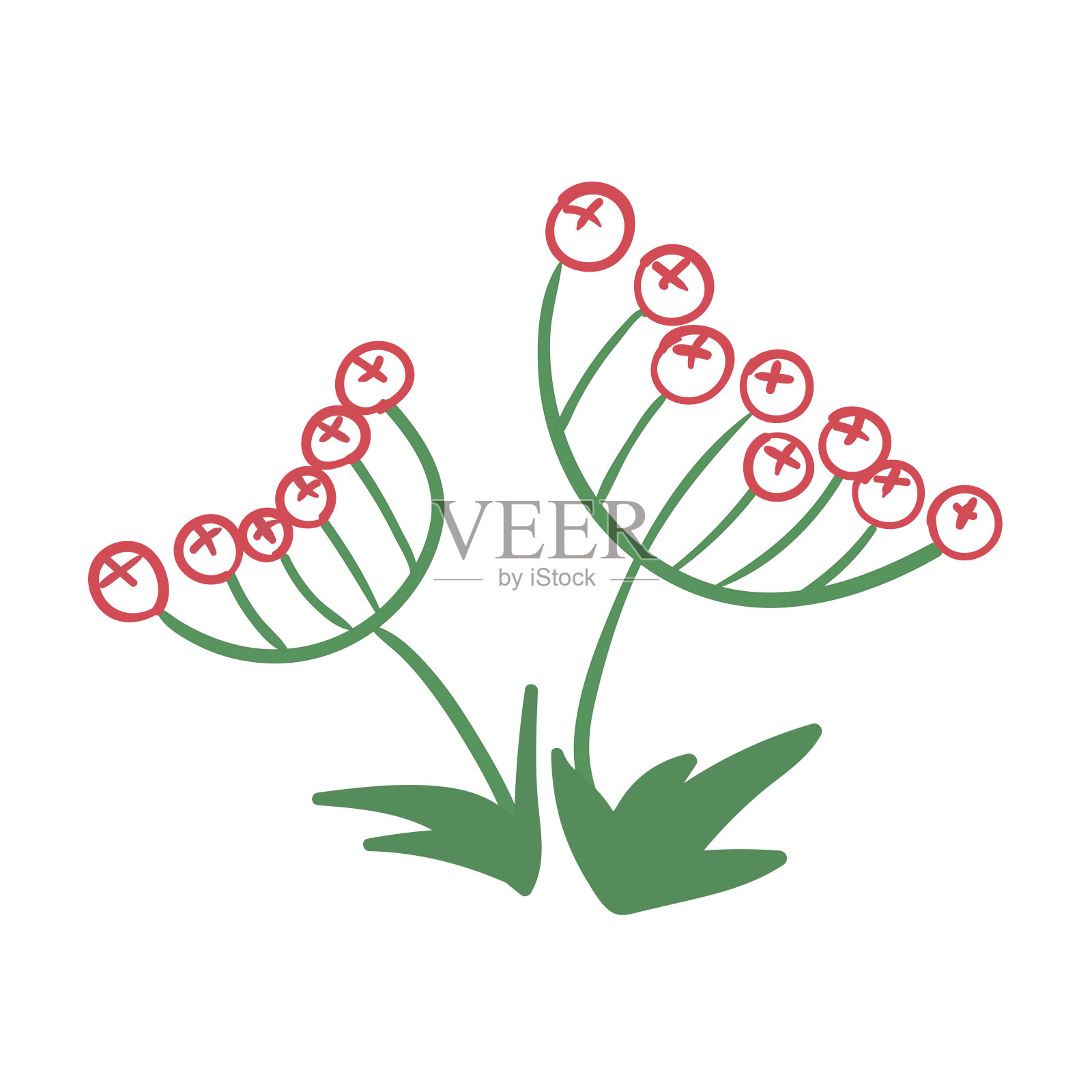 С色泽的荚莲属的植物插画图片素材