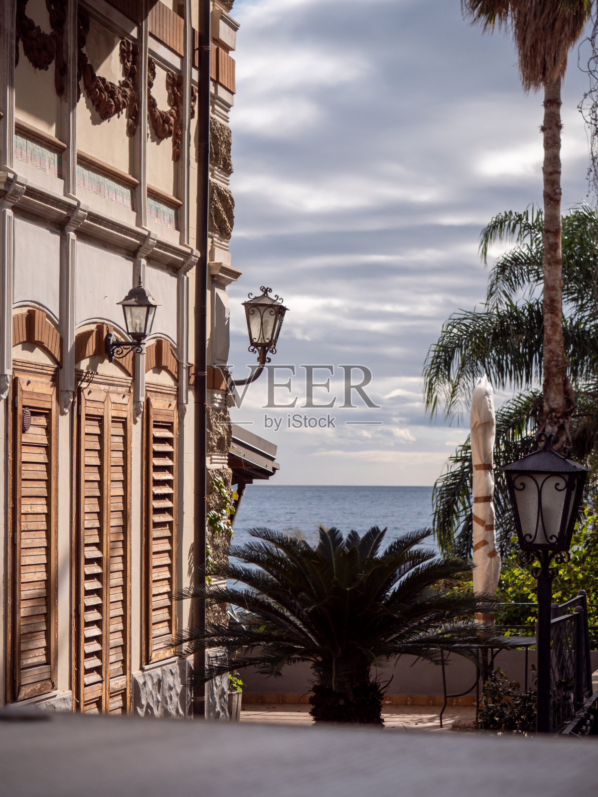 热带的背景照片摄影图片