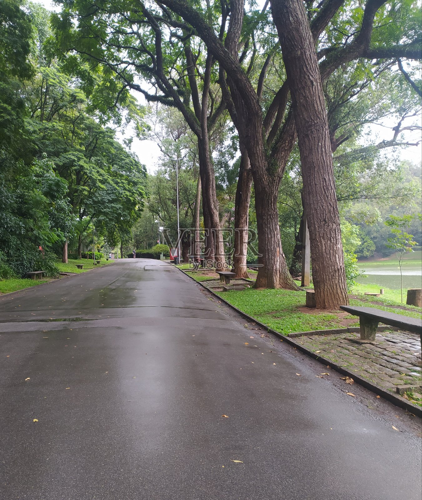 大雨过后，Aclimacao公园空无一人照片摄影图片