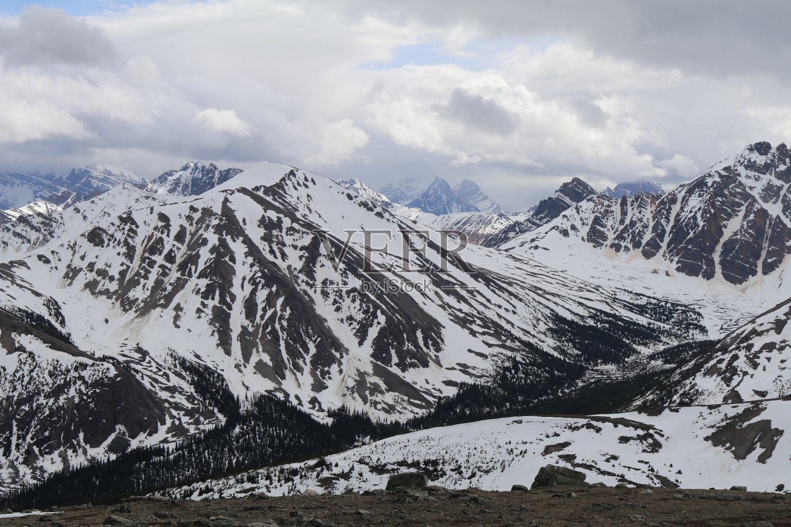美丽的雪景在贾斯珀，阿尔伯塔。穿越加拿大不列颠哥伦比亚省的班夫和贾斯珀国家公园的奇妙之旅。温哥华美妙的一天。加拿大有这么多的动物和山脉，真是一个美丽的自然。照片摄影图片