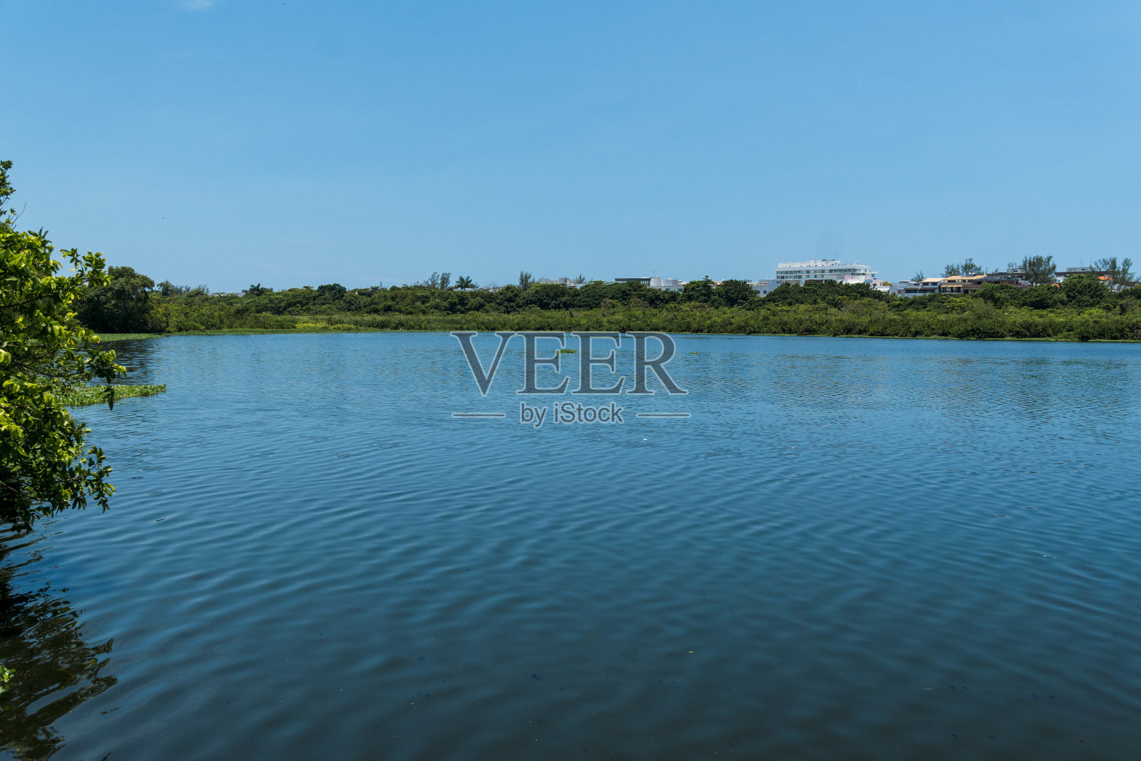 巴西里约热内卢的奇科门德斯公园的拉戈尼哈湖。背景中有一些建筑、植被和山丘。阳光明媚，天空湛蓝照片摄影图片