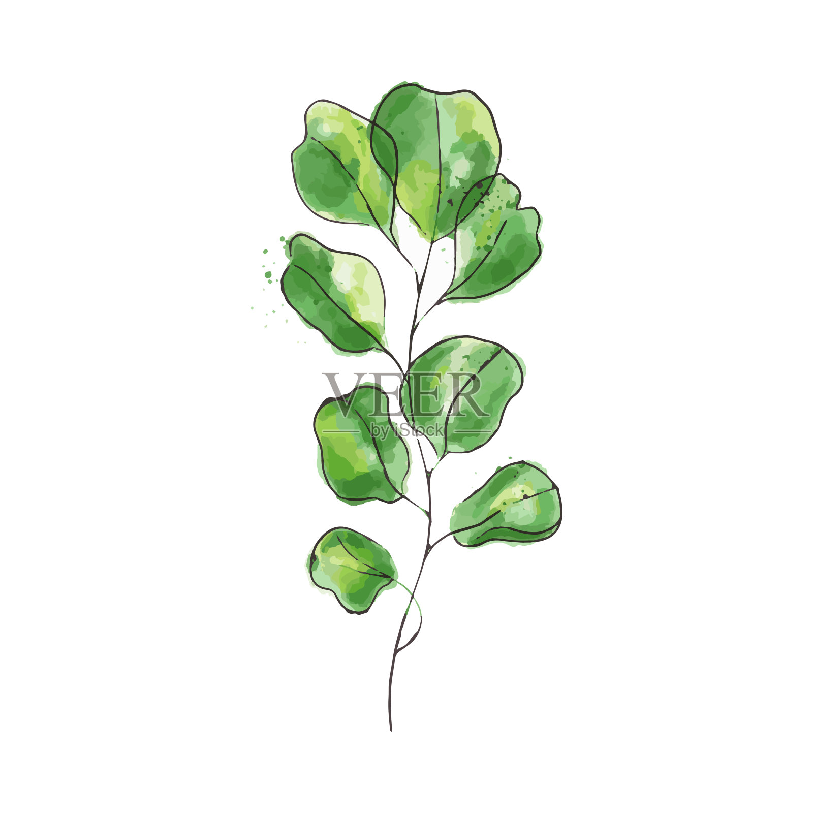 绿色水彩植物插画图片素材