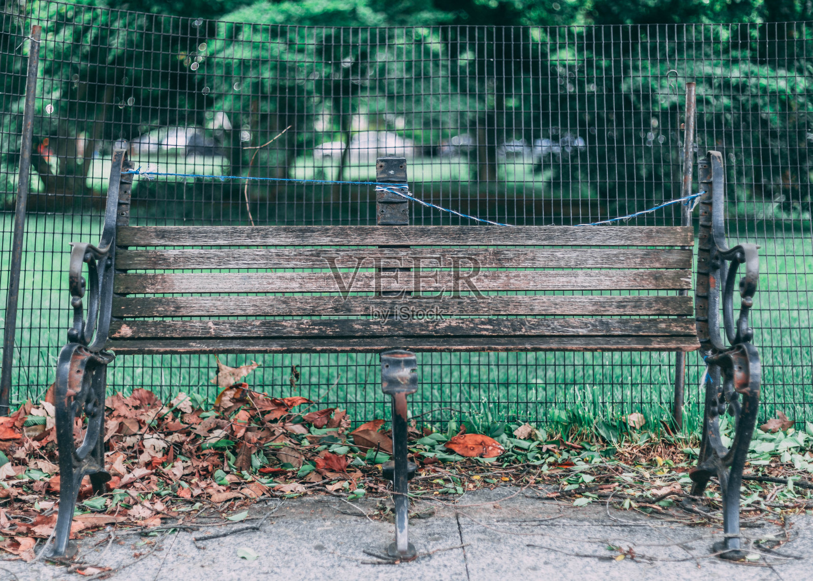 WH草坪的长椅上照片摄影图片