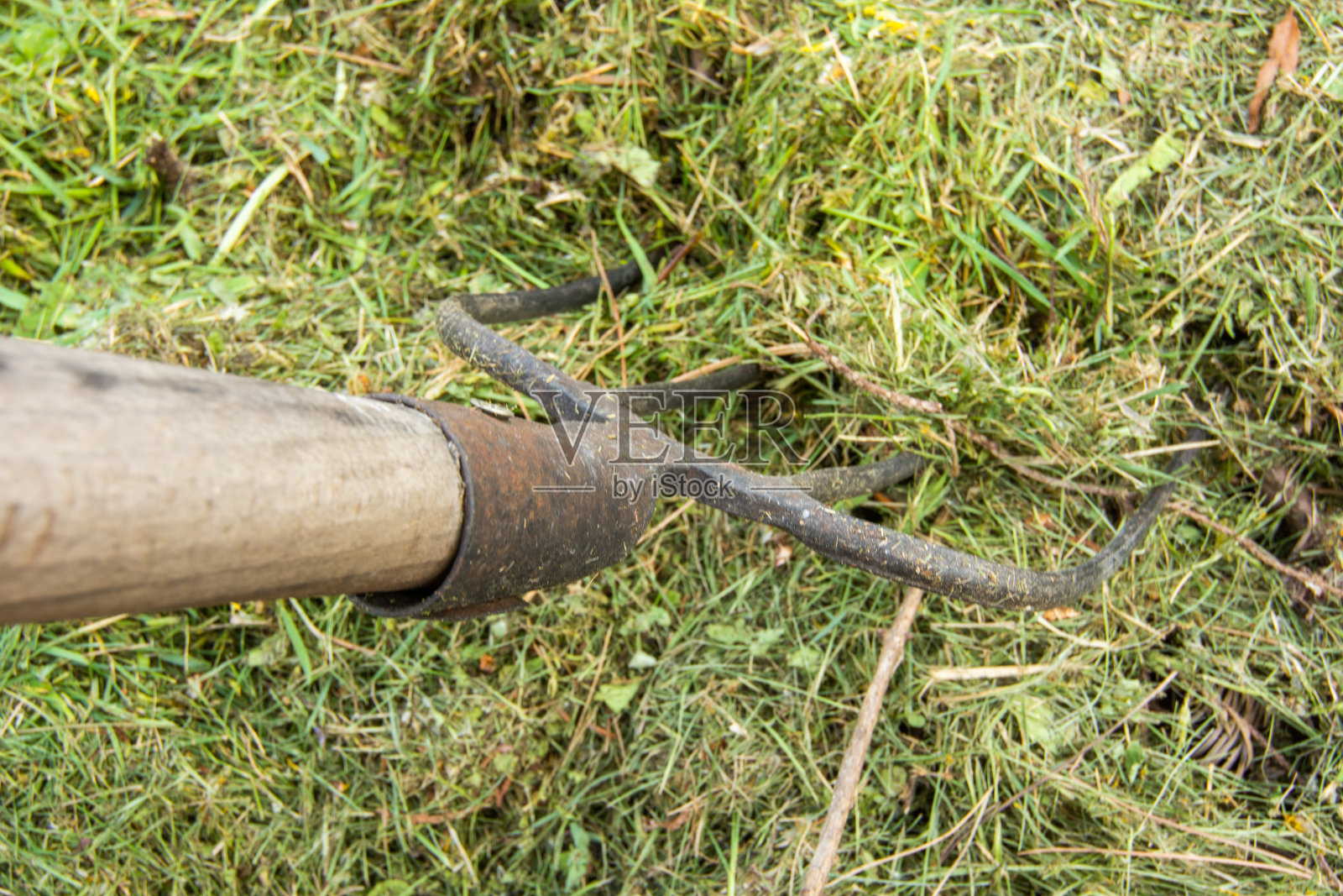 干草叉在干草堆里的特写。照片摄影图片