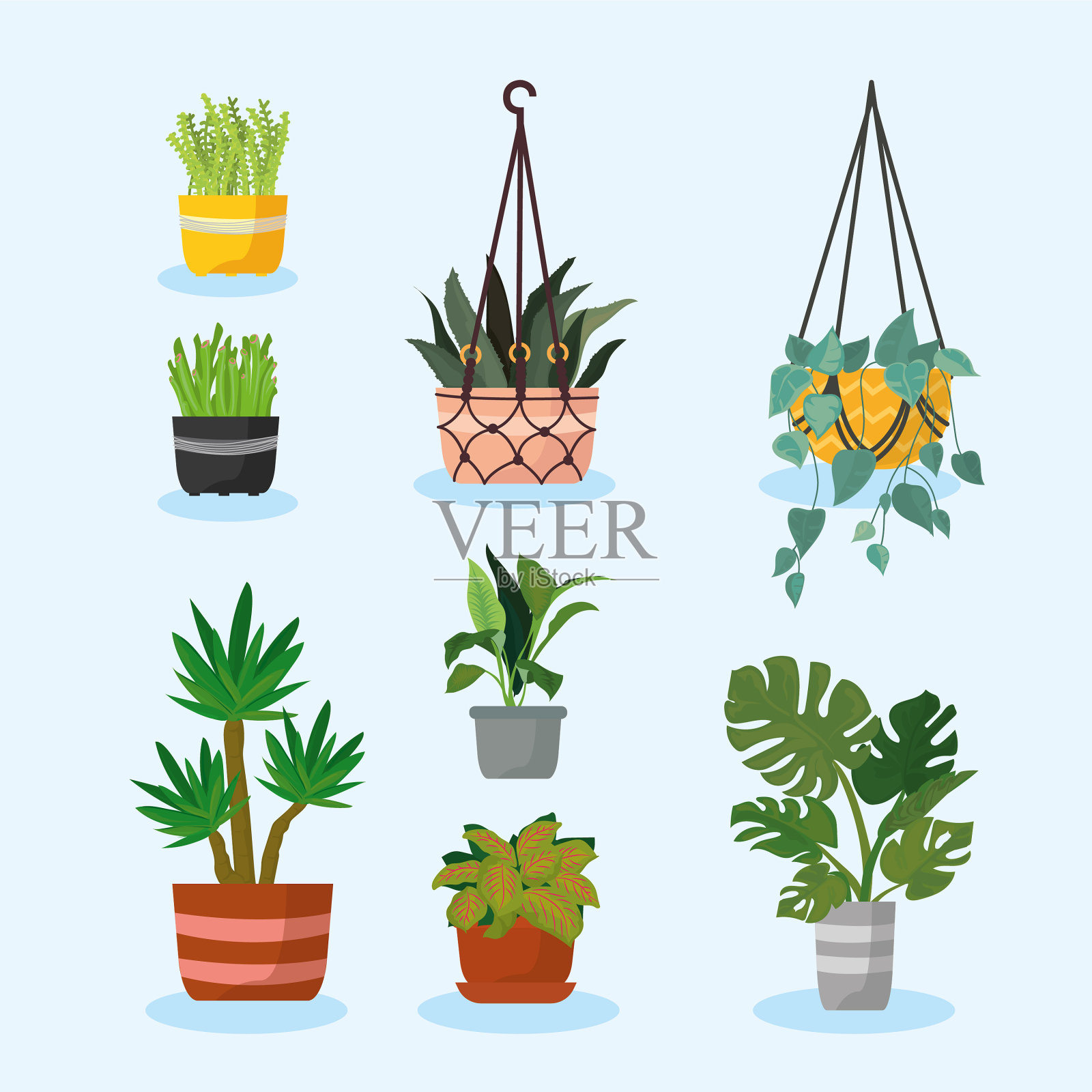 8种悬挂植物图标插画图片素材