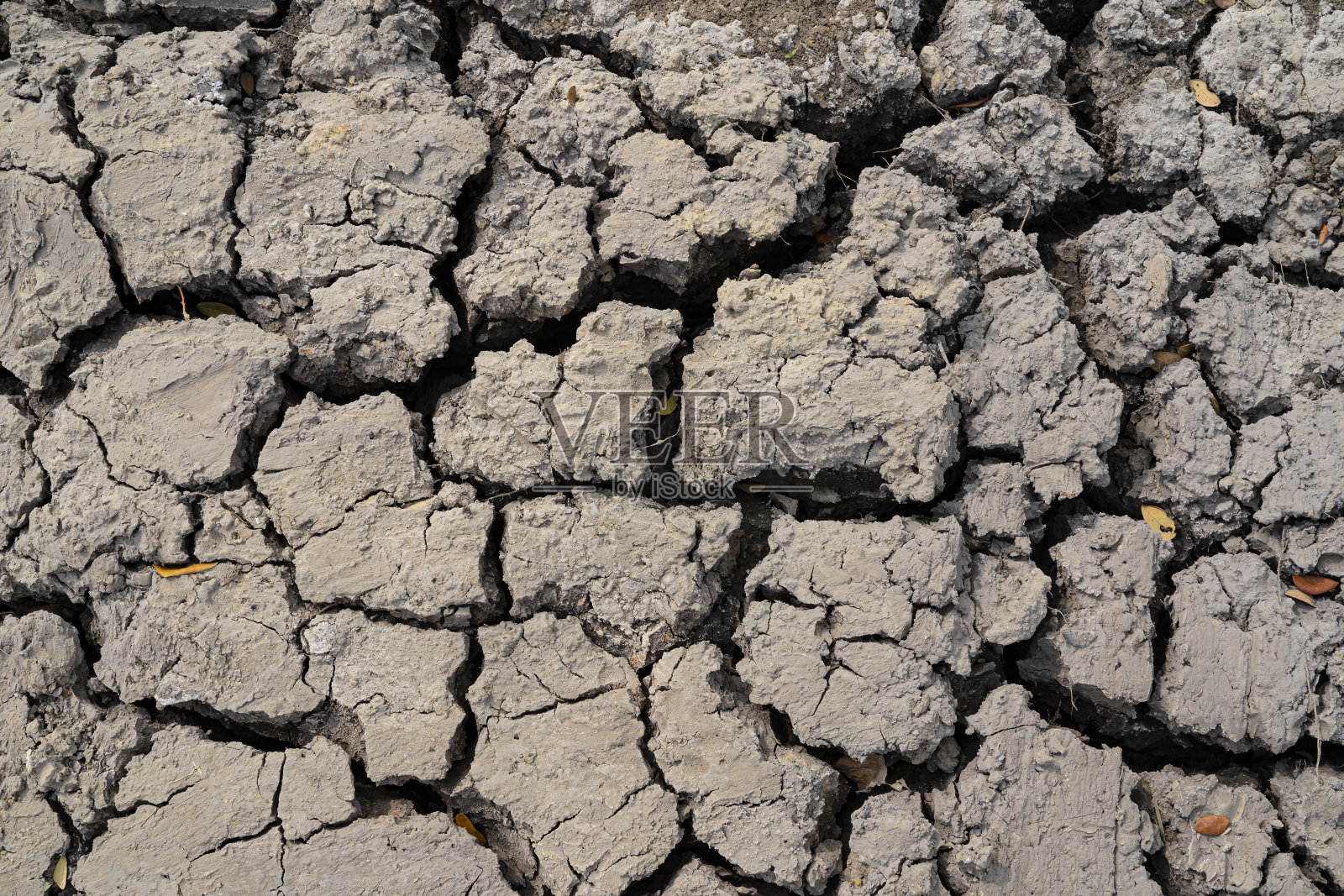 干裂的土壤。气候变化照片摄影图片