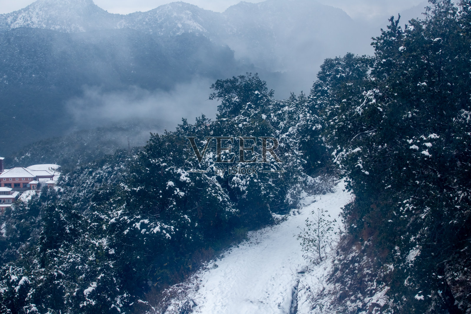 12月的降雪照片摄影图片