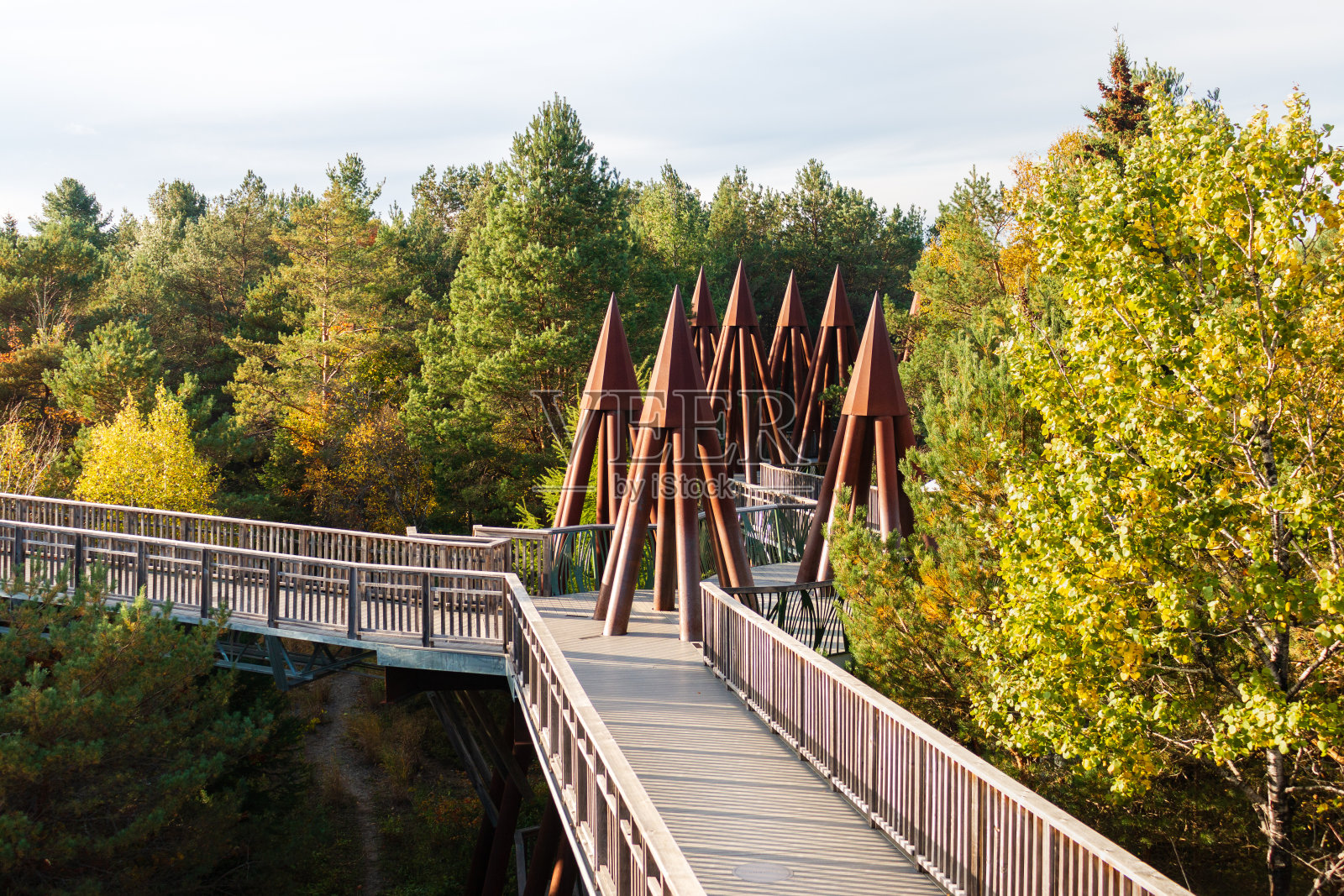 野生中心，桥牌，适合儿童照片摄影图片