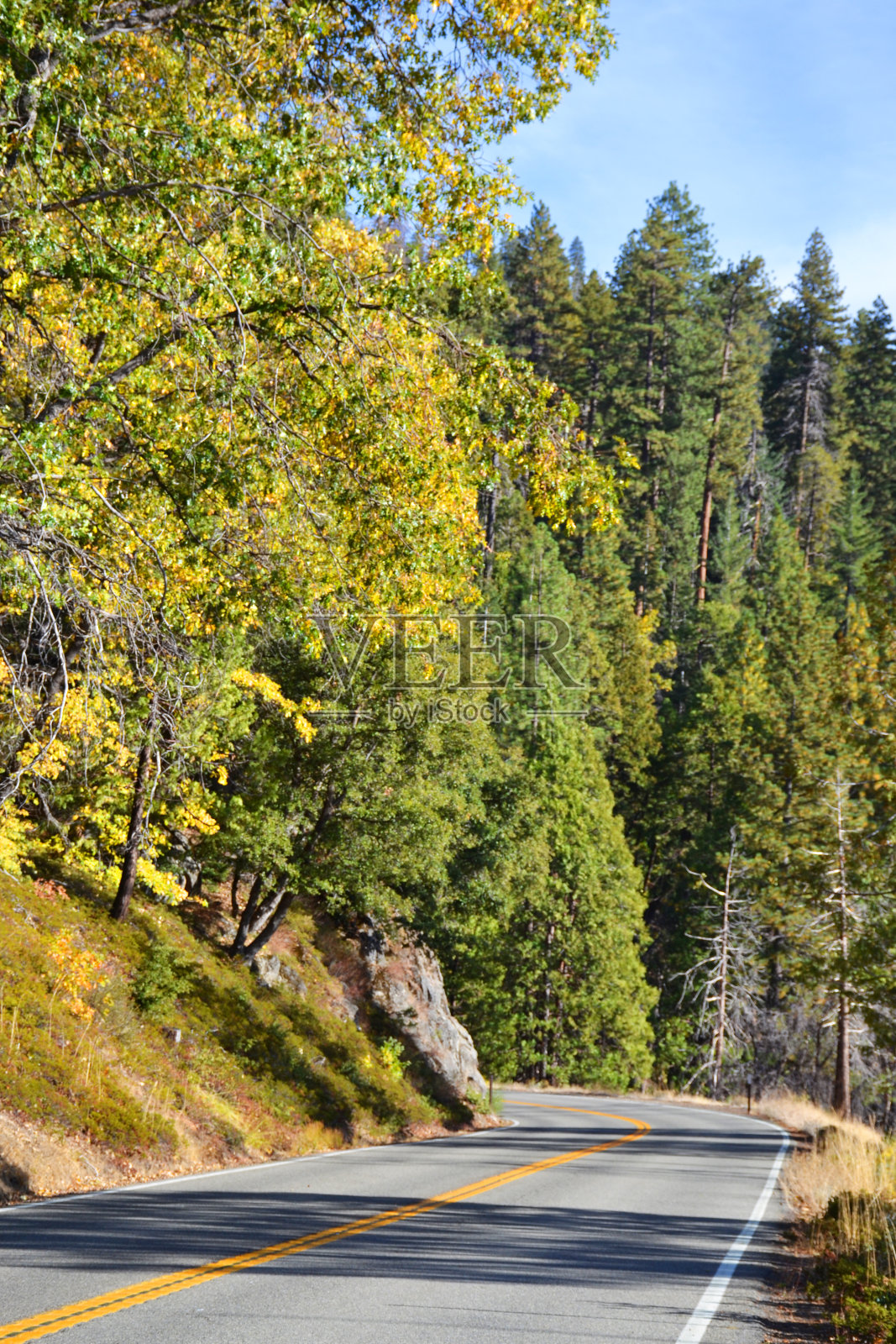 约塞米蒂谷的路照片摄影图片