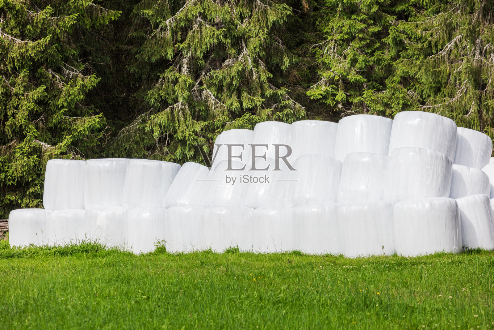 农场里用玻璃纸包裹的干草堆照片摄影图片