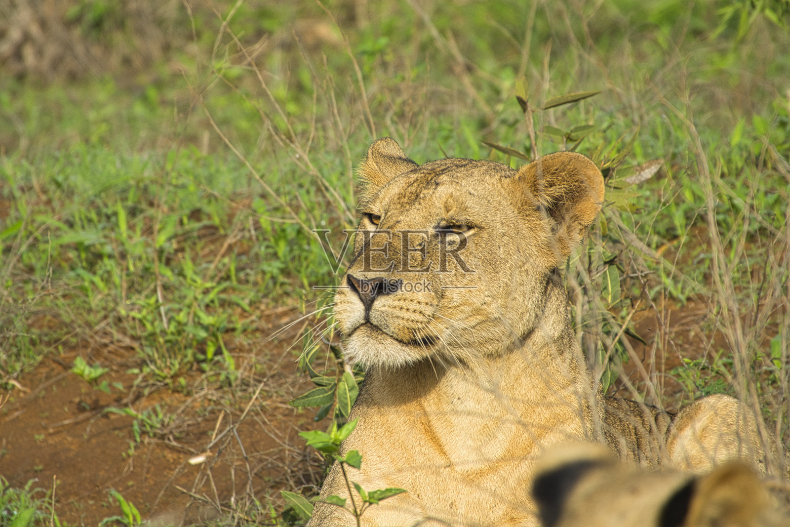 游客们照片摄影图片