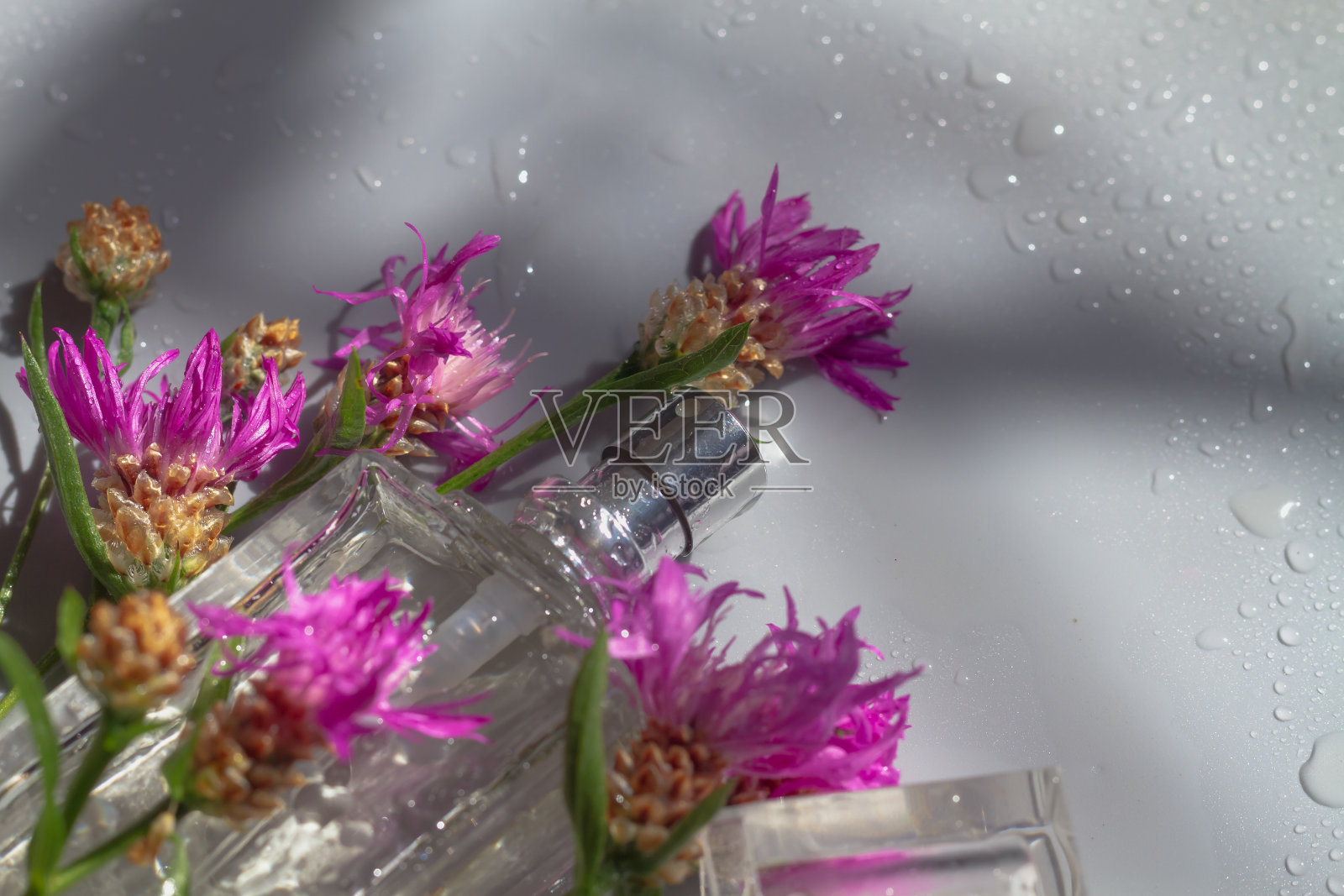 喷瓶里的花露水，背景是灰色的，花是紫色的，深红色的照片摄影图片