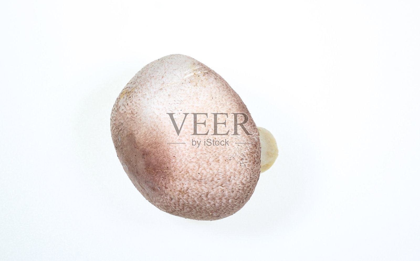 新鲜蘑菇孤立在白色背景与剪辑路径。照片摄影图片