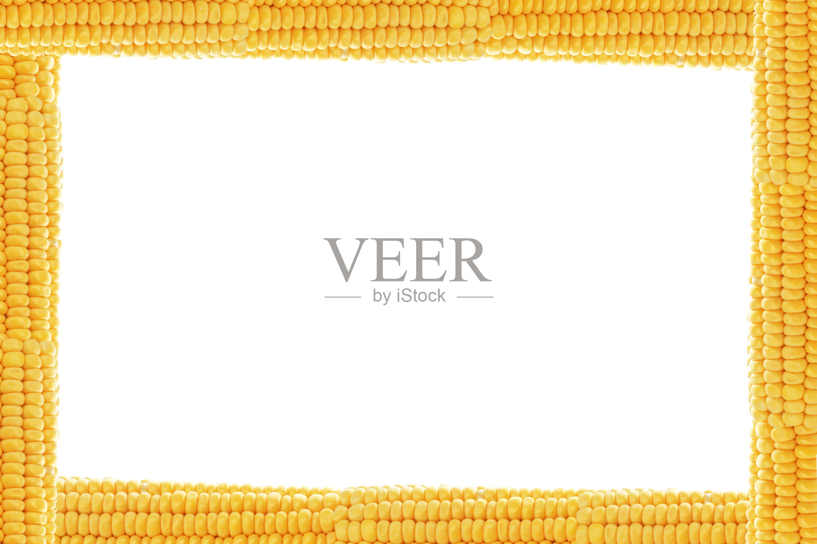 在白色背景的玉米芯框架照片摄影图片