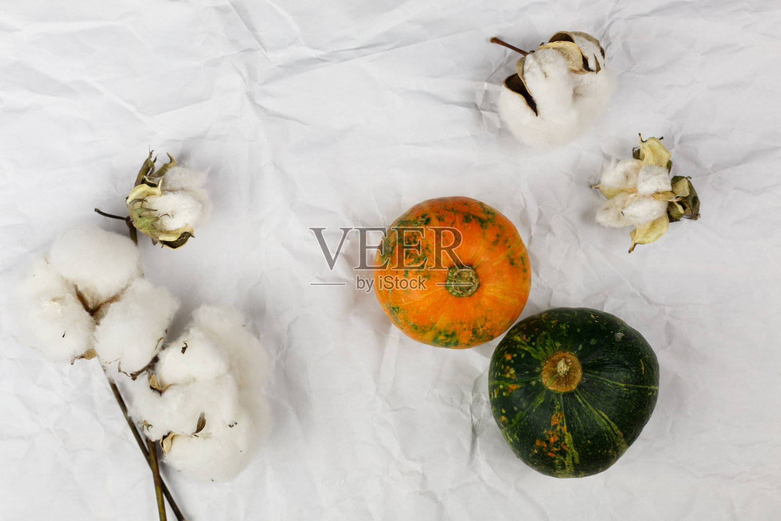 创意顶视图极小的秋季构图。两个明亮的小装饰南瓜和棉花花皱巴巴的纸。秋天，秋天，万圣节的概念。前视图。副本的空间。照片摄影图片