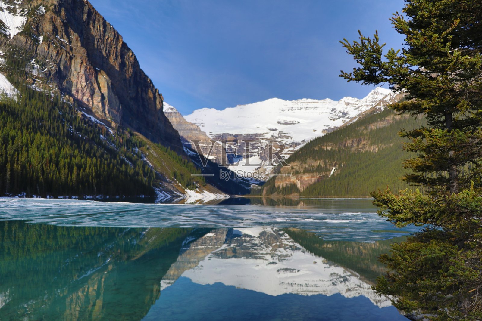 路易斯湖美好的一天。穿越加拿大不列颠哥伦比亚省的班夫和贾斯珀国家公园的奇妙之旅。温哥华美妙的一天。加拿大有这么多的动物和山脉，真是一个美丽的自然。照片摄影图片