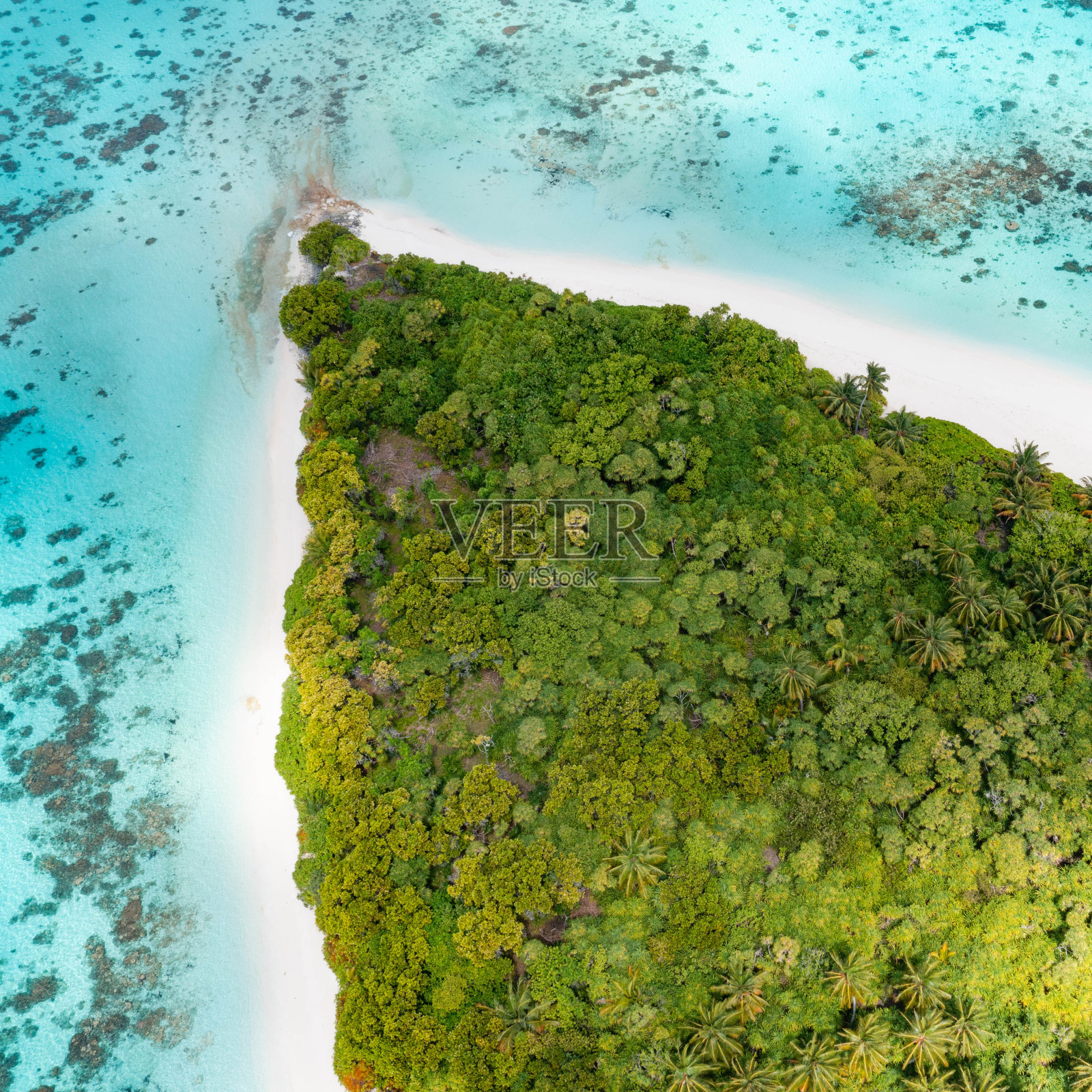 海洋中热带岛屿的鸟瞰图照片摄影图片