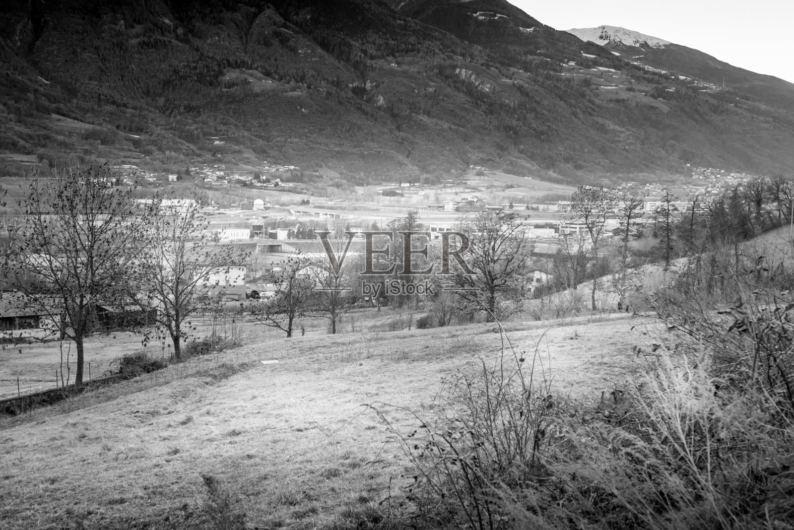 山地农业景观，冬季草甸郁郁葱葱，黑白相间照片摄影图片