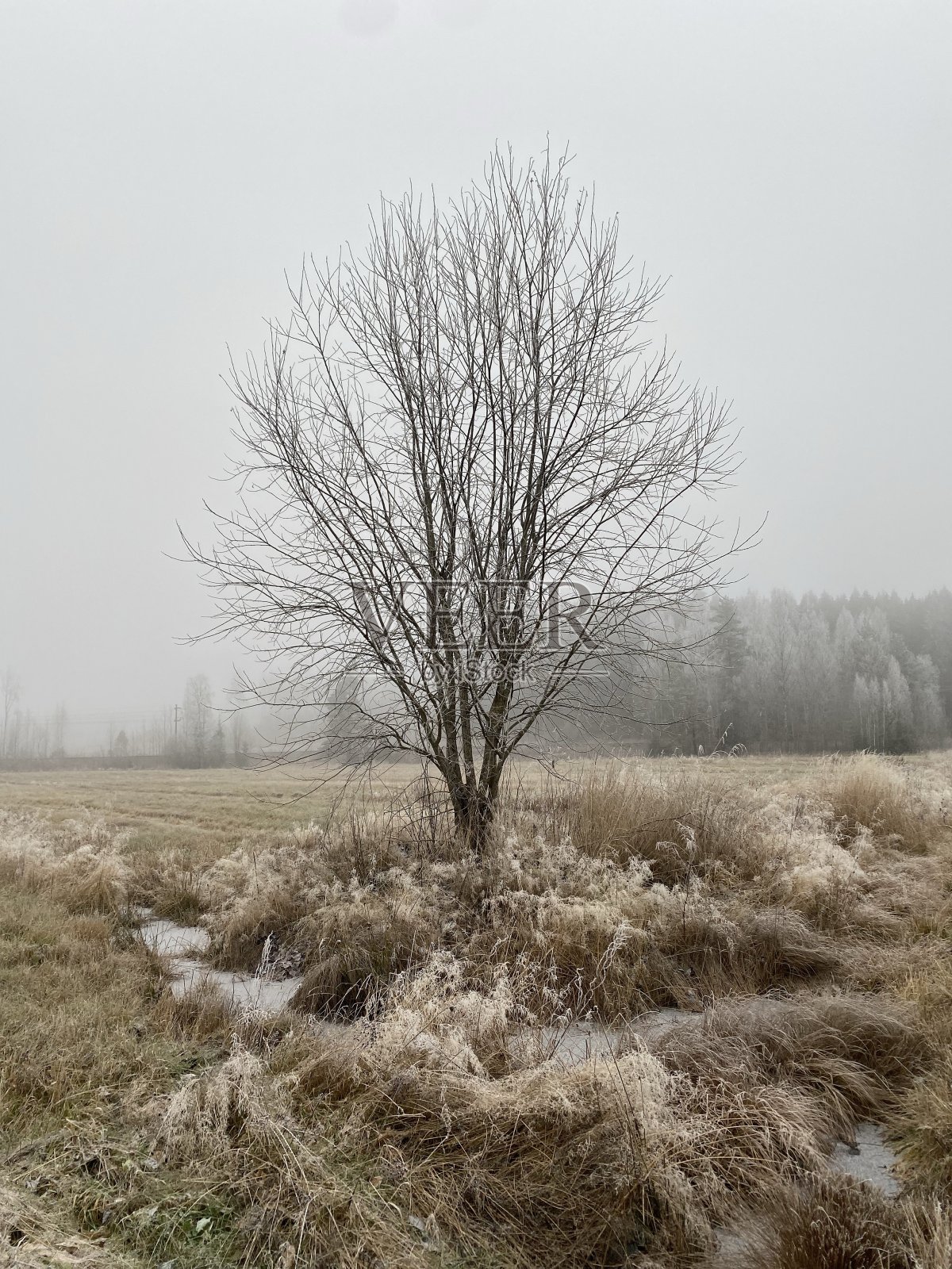 前不着村后不着店的地方照片摄影图片