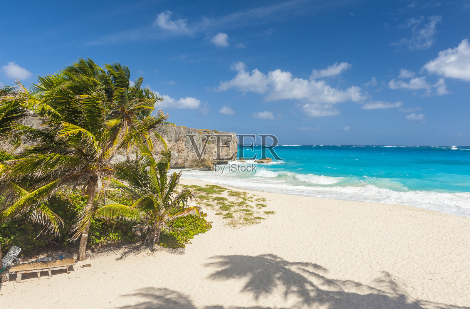 巴巴多斯的底湾照片摄影图片