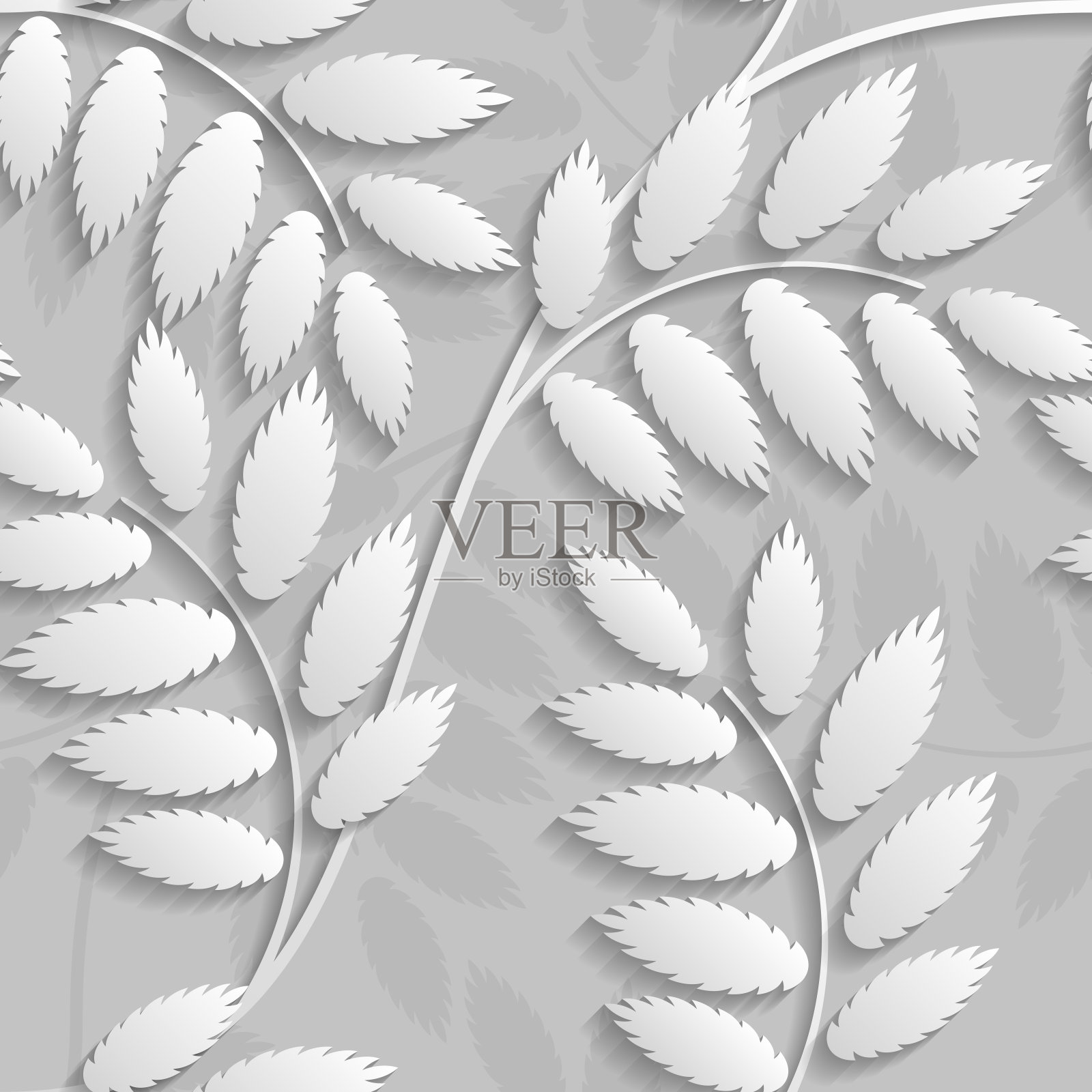 花楸叶与阴影背景。插画图片素材