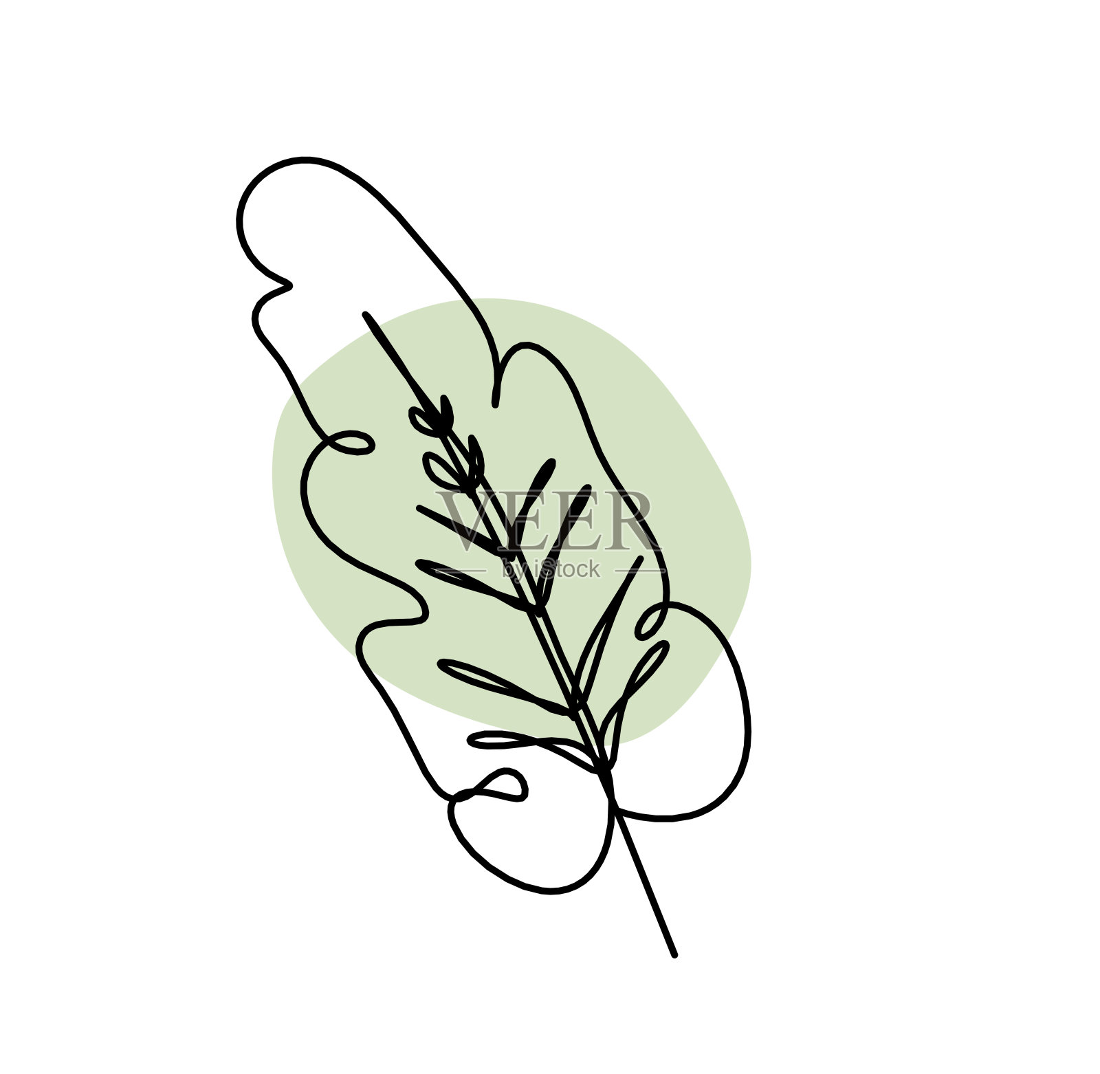 在白色的背景上以抽象的颜色作为线条绘制叶子插画图片素材