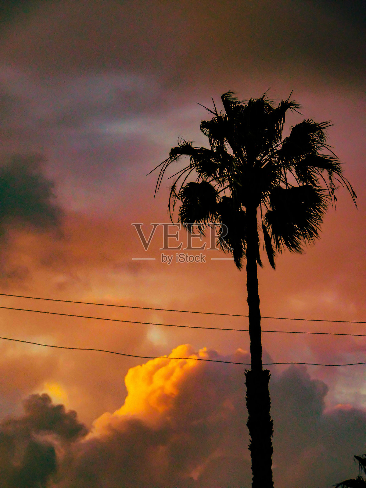 桃色的日落照片摄影图片