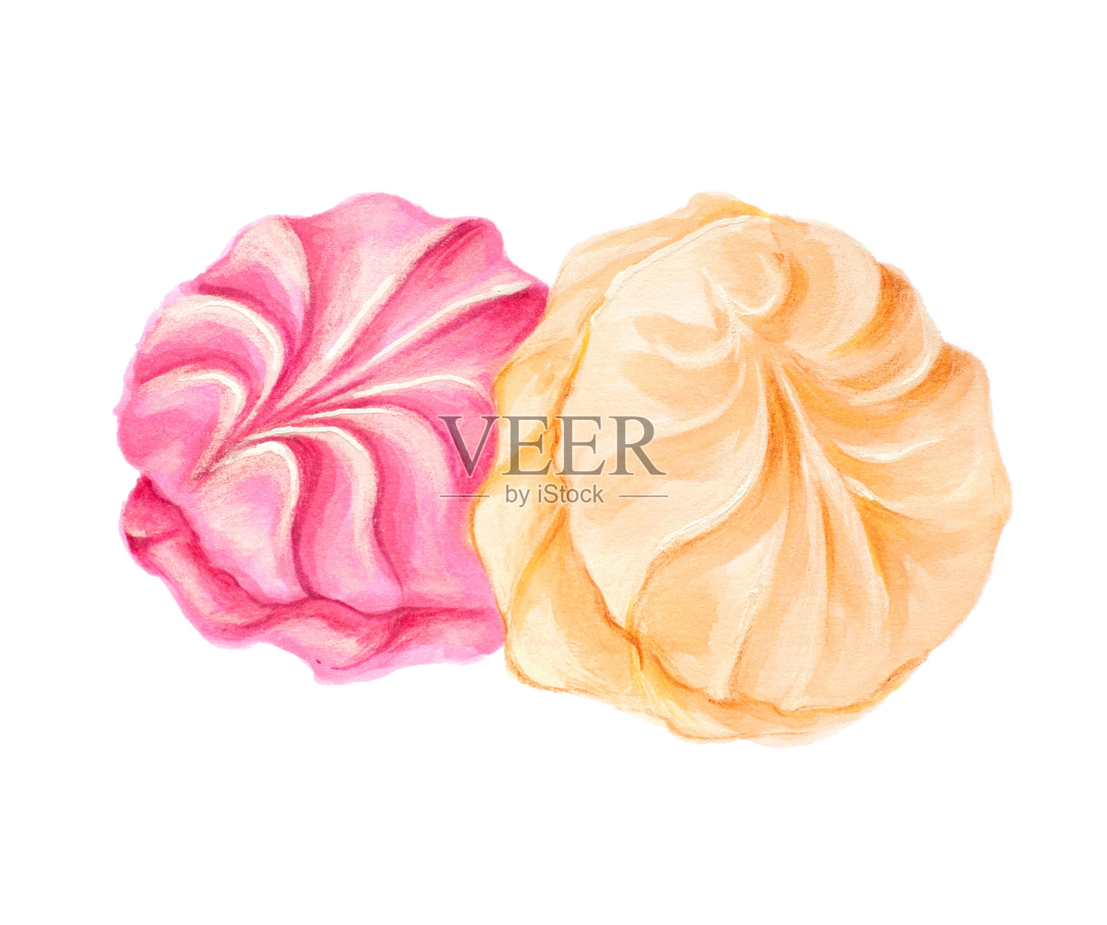 Zefir zephyr俄罗斯棉花糖手绘标记插图草图孤立在白色背景上插画图片素材