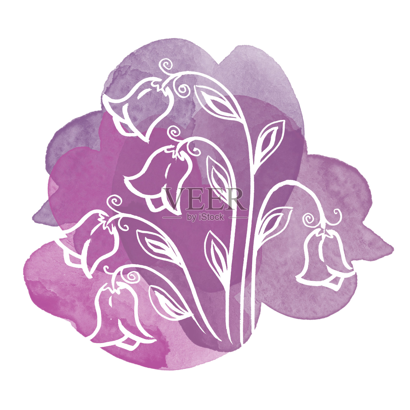 彩色白线艺术钟花与离开水彩紫色斑点。线性手绘花卉元素在白色背景插画图片素材