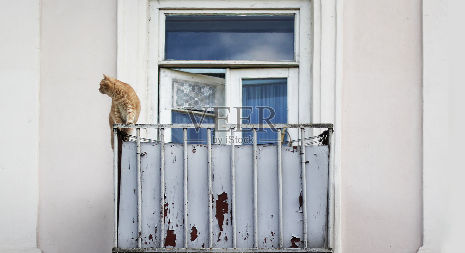 一只姜黄色的猫坐在一个旧阳台的屋檐边，望着外面的街道。旧房子，旧窗户和旧阳台照片摄影图片