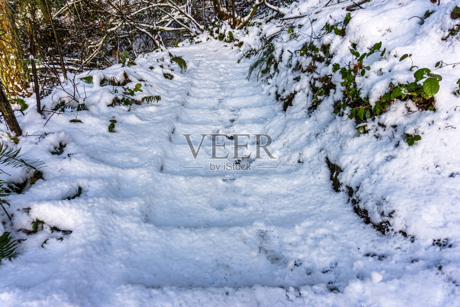 4号小路上的雪照片摄影图片