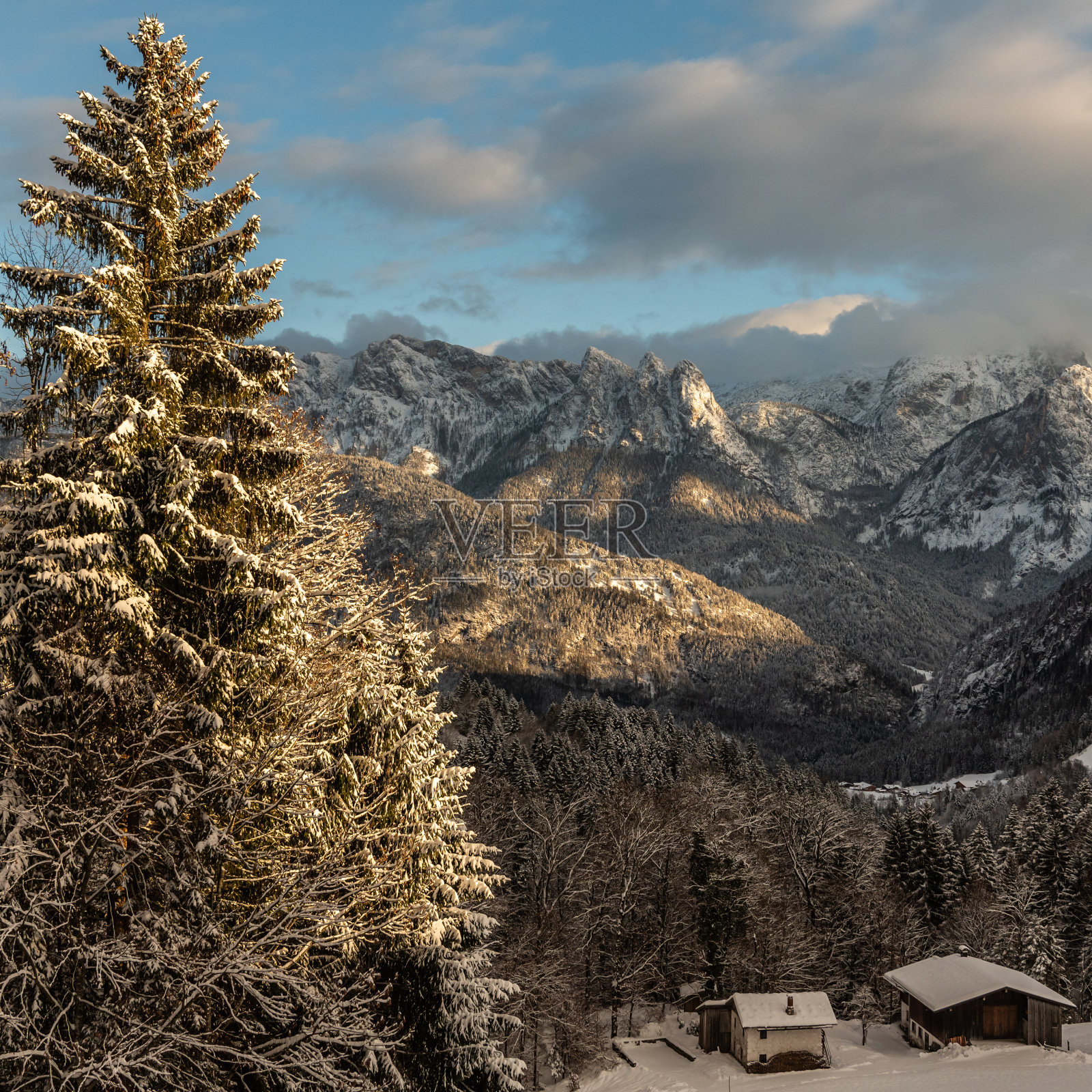 阿尔卑斯山的冬天照片摄影图片