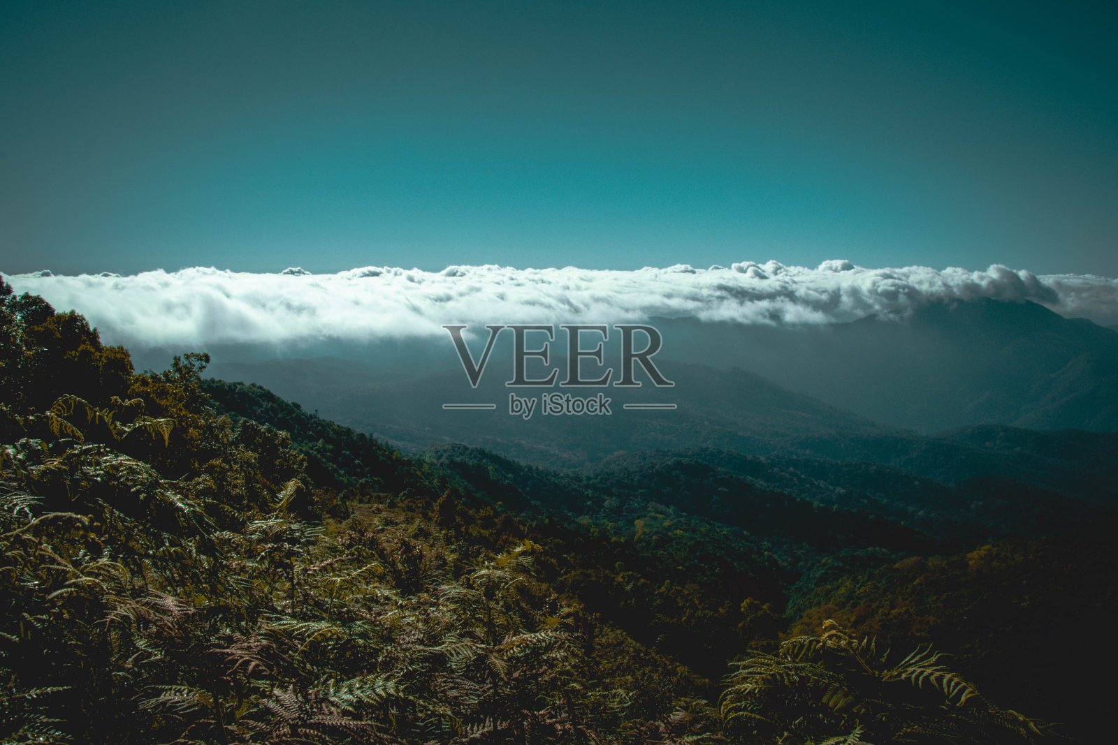 海雾照片摄影图片