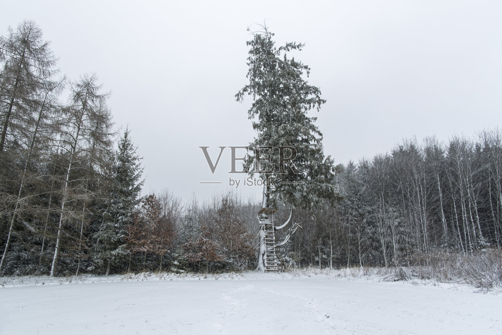 游览德国和巴伐利亚照片摄影图片