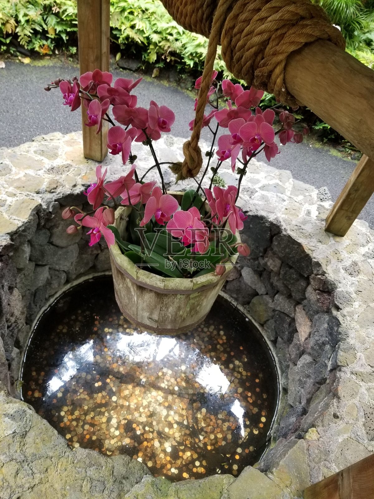 希望离开照片摄影图片